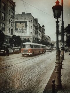 Poznań świętuje 100-lecie komunikacji autobusowej!🚍💯 A razem z tym — startuje Europejski Tydzień Mobilności 2025! 🌍
Dziś w centrum miasta jest parada, która otworzyła tydzień wydarzeń związanych z ekologicznym, dostępnym i zrównoważonym transportem.
W tym roku wszystko odbywa się pod hasłem: „Mobilność dla każdego” – i trudno o lepszą okazję, by spojrzeć na miasto inaczej niż zza kierownicy auta. 🚲🚶♀️🚌
To też wyjątkowy moment dla Poznania – dokładnie 100 lat temu na ulice miasta wyjechał pierwszy autobus komunikacji miejskiej. Od tamtej pory sporo się zmieniło, ale idea pozostaje ta sama: łączyć ludzi i miejsca.
A to dopiero początek obchodów!
I to nie koniec świętowania, bo już za tydzień:
📍 22 września – Dzień bez Samochodu – tego dnia przejazdy ZTM będą bezpłatne (dla posiadaczy ważnego dowodu rejestracyjnego pojazdu).
Świetna okazja, żeby zostawić auto pod domem i spróbować czegoś innego. 😉
Będziecie brać udział?
P.S. Poniżej zdjęcie z parad w ubiegłych latach.
.
#echtpoznanioki #lokalnieigospodarnie #poznań #100LatAutobusów #EuropejskiTydzieńMobilności #PoznańBezSamochodu #MobilnośćDlaKażdego #komunikacja #komunikacjamiejska #retro #motoryzacja #automotive #poznanlovers #miastopoznan #autobus #autobusmiejski #buses #instapoznan @instapoznan
