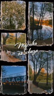 Jak spędzacie majówkę? W Poznaniu czy poza miastem?💚
My polecamy Wam pewnik - Sołacz. Idealny na majowy spacer. 🚶♀️🌳🌸
#poznanlovers #majowka #sołacz #spacer #poznan
