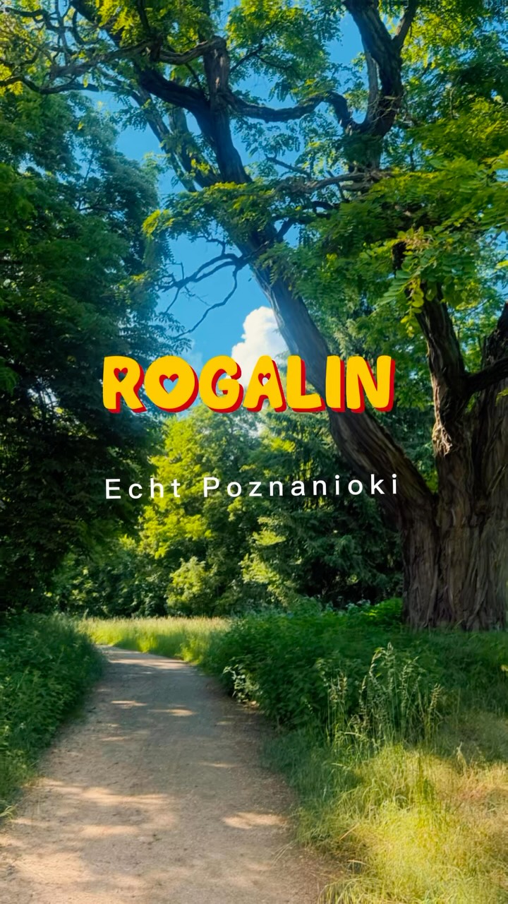 Kolejna@porcja wspomnień tego lata - tym razem z @muzeum_palac_rogalin .
Ale tam jest pięknie! 😊 A już wkrótce warto zobaczyć to miejsce w jesiennej odsłonie. 🍂🍁
#beautifuldestinations #zwiedzamy #wielkopolska #echtpoznanioki #summervibes☀️