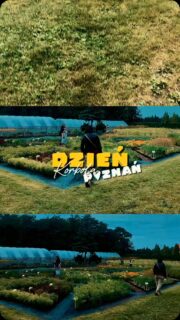 W powietrzu coraz bardziej czuć jesień.🍂
Pierwsze chłodniejsze dni i żółknące liście na drzewach to nieomylny znak, że czas zacząć nowy, przytulny sezon. W Wielkopolsce jego tradycyjną zapowiedzią jest Dzień Korbola w Centrum Edukacji Przyrodniczej Marcelin. Czy wiecie, skąd ta nazwa? W tradycyjnej gwarze poznańskiej korbol oznacza po prostu dynię.
Dlaczego warto popularyzować wiedzę o niej i włączyć ją do jesiennego menu? Bo to nie tylko ozdoba, ale przede wszystkim wartościowa, lokalna zdrowa żywność. 😋 Dynia to prawdziwa witaminowa bomba (ma mnóstwo karotenu i potasu), która świetnie wspiera naszą odporność. Do tego cechuje ją kulinarna elastyczność – idealnie pasuje zarówno do dań wytrawnych, jak i słodkich wypieków.
Jednak Dzień Korbola to znacznie więcej niż sama dynia! Organizatorzy z Uniwersytetu Przyrodniczego w Poznaniu jak co roku przygotowali mnóstwo zróżnicowanych atrakcji:
🍏🍯 Jarmark Zdrowej Żywności: Można było kupić ekologiczne produkty regionalne oraz świeże wyroby i przetwory pochodzące bezpośrednio z uniwersyteckich Zakładów Doświadczalnych.
🌿🌸 Pokazy ogrodnicze i warsztaty: Praktyczne porady od naukowców i specjalistów z UPP.
🚶♂️🌳 Spacery przyrodnicze: Odkrywanie urokliwych i zielonych zakątków Marcelińskiego Parku wokół zabytkowego dworku.
🏺📜 Wystawa historyczna: Była okazja do obejrzenia stałej ekspozycji artefaktów znalezionych na terenie Marcelina.
🎈🏰 Strefa dla dzieci: Gry, zabawy plenerowe oraz uwielbiane przez najmłodszych dmuchane zamki.
🍲🔥 Biesiada przy ognisku: Obok pysznych przysmaków, każdy mógł tradycyjnie usmażyć własną kiełbaskę na grillu.
Sezon na jesienne dary natury uważa się za otwarty! ☺️
Odkrywajcie lokalne smaki, testujcie nowe, dyniowe przepisy i dbajcie o zdrowie tej jesieni. 🍁
#dyniowelove #pumpkineverything #lokalnieigospodarnie #poznanlovers #jesienneklimaty @up_poznan